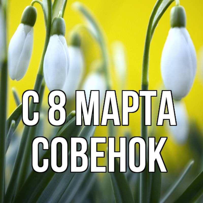 Картинка C 8 МАРТА, совенок