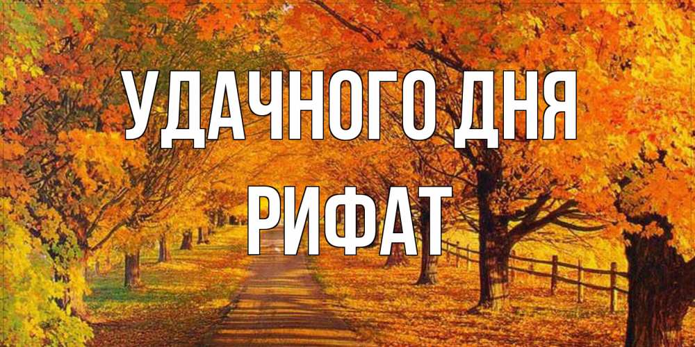 Открытка на каждый день с именем, Рифат Удачного дня деревья с осенними листьями Прикольная открытка с пожеланием онлайн скачать бесплатно 