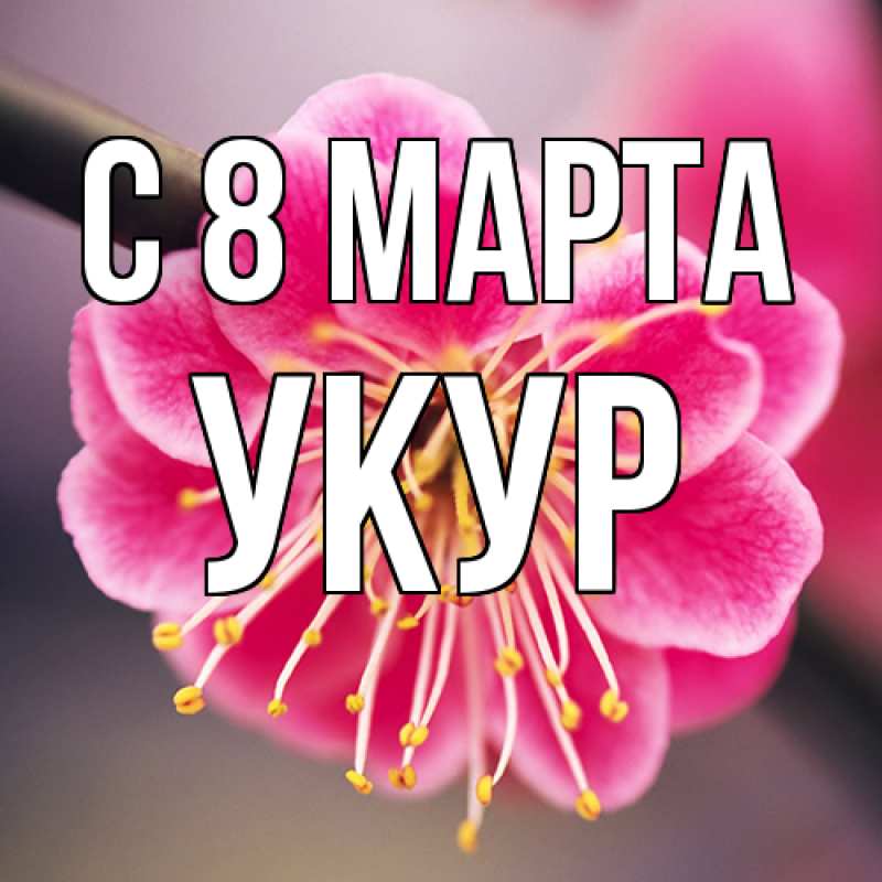 Картинка C 8 МАРТА, Укур