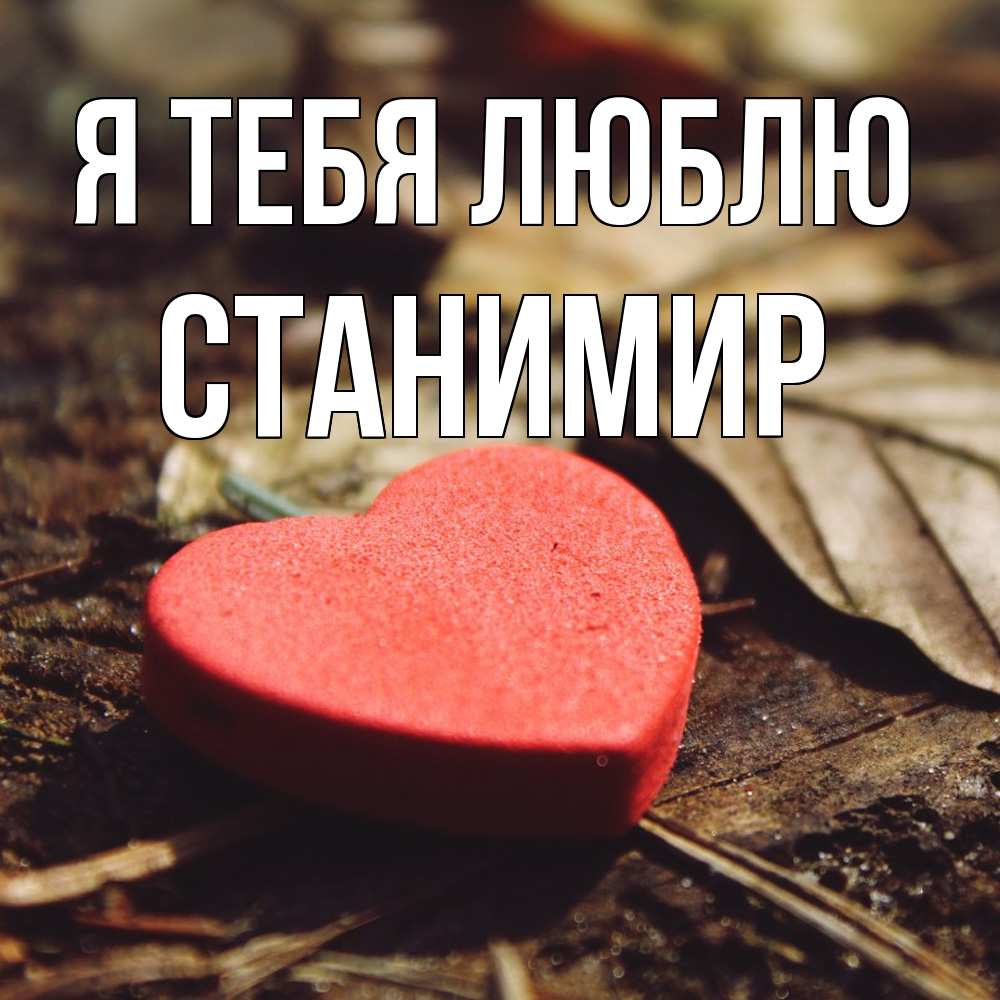 Открытка на каждый день с именем, Станимир Я тебя люблю листья деревье 4 Прикольная открытка с пожеланием онлайн скачать бесплатно 