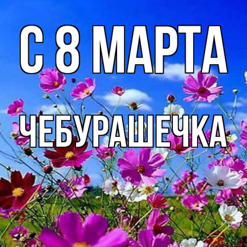 Картинка C 8 МАРТА, Чебурашечка