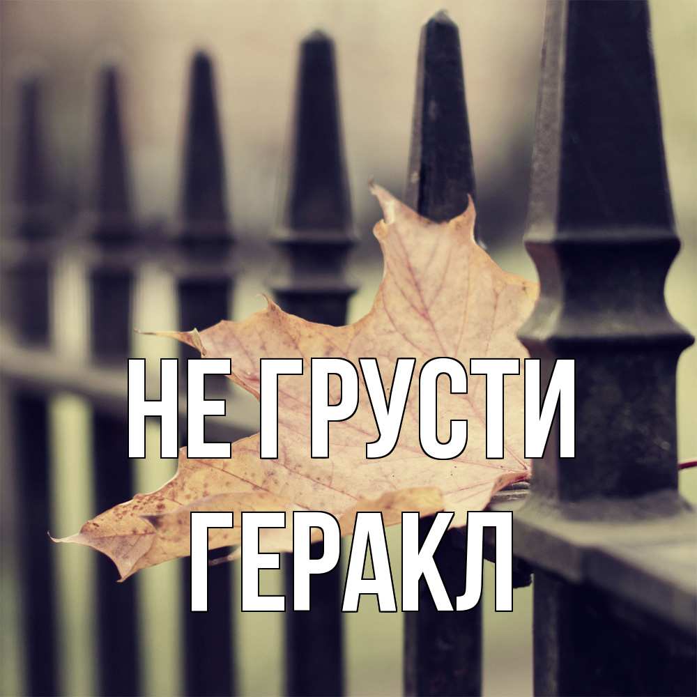 Открытка на каждый день с именем, Геракл Не грусти лист клена Прикольная открытка с пожеланием онлайн скачать бесплатно 