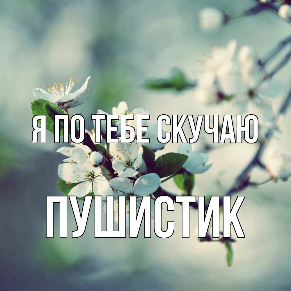 Открытка на каждый день с именем, Пушистик Я по тебе скучаю весна Прикольная открытка с пожеланием онлайн скачать бесплатно 