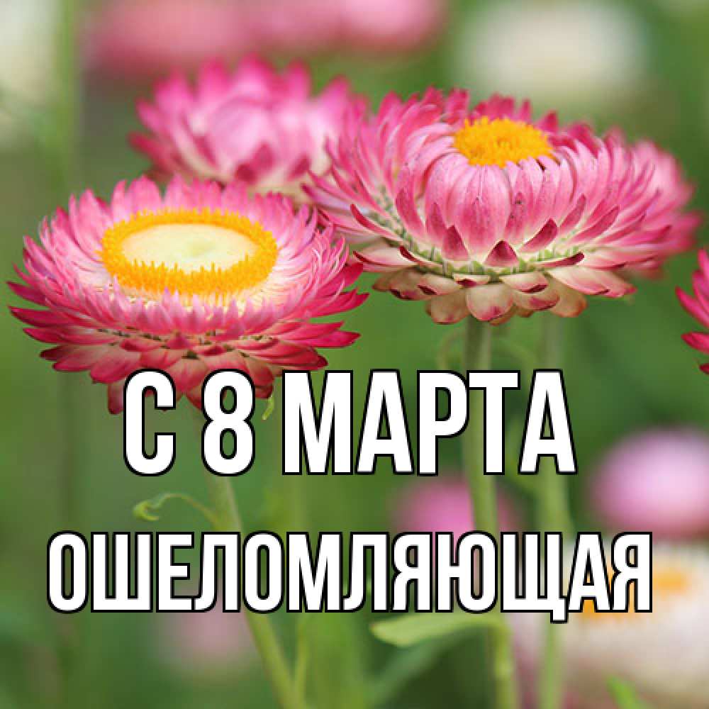 Открытка на каждый день с именем, Ошеломляющая C 8 МАРТА подарок на международный женский день Прикольная открытка с пожеланием онлайн скачать бесплатно 