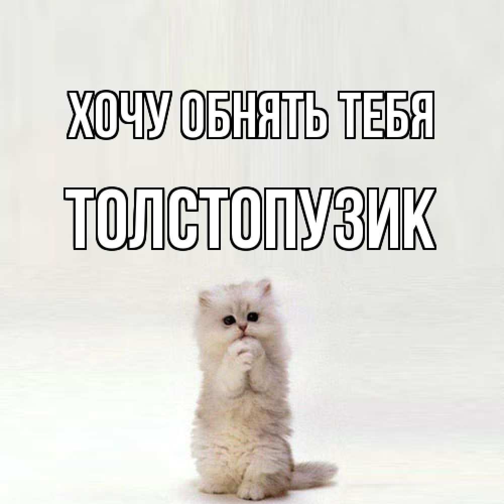 Открытка на каждый день с именем, Толстопузик Хочу обнять тебя открытки с креативными подписями Прикольная открытка с пожеланием онлайн скачать бесплатно 