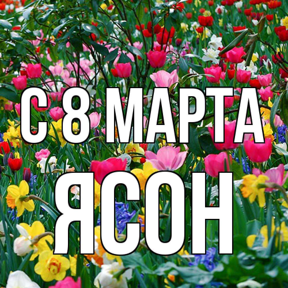 Открытка на каждый день с именем, Ясон C 8 МАРТА с международным женским днем поздравления для женщины Прикольная открытка с пожеланием онлайн скачать бесплатно 