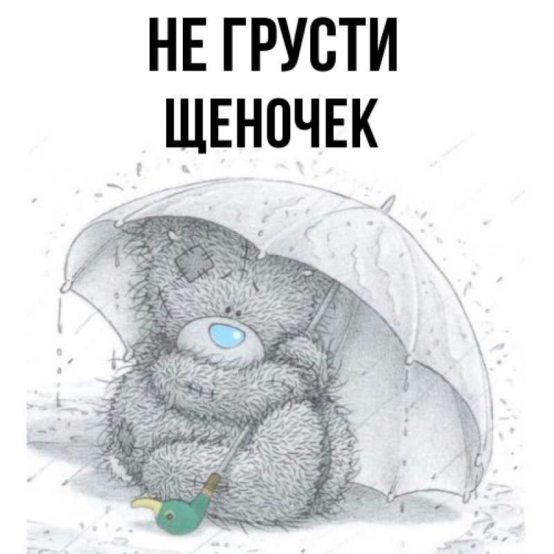 Картинка Не грусти, Щеночек