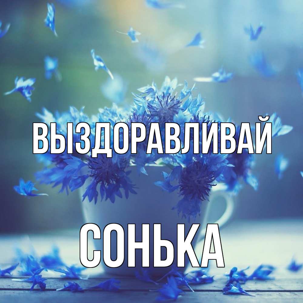 Открытка на каждый день с именем, Сонька Выздоравливай кружка с зельем и цветами Прикольная открытка с пожеланием онлайн скачать бесплатно 