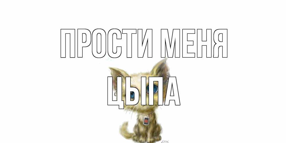 Открытка на каждый день с именем, Цыпа Прости меня прости меня открытка с котиком Прикольная открытка с пожеланием онлайн скачать бесплатно 