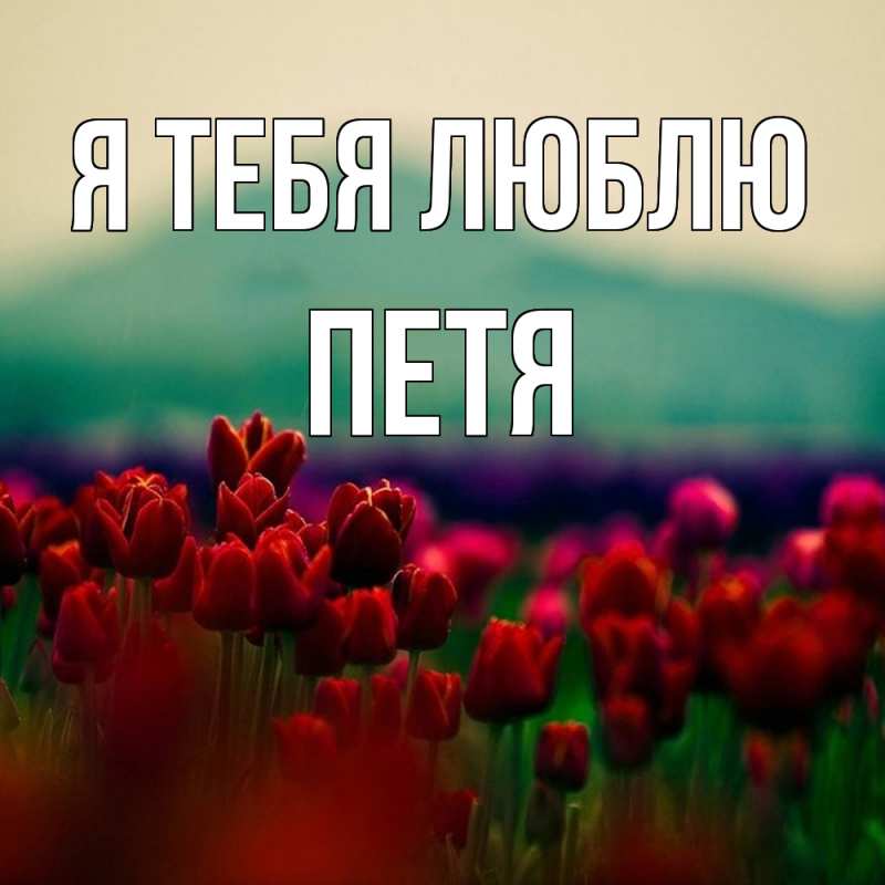 Картинка Я тебя люблю, Петя