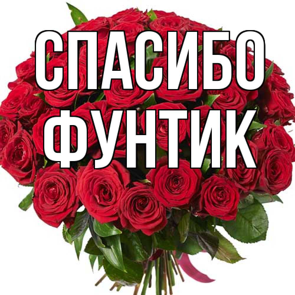 Открытка на каждый день с именем, фунтик Спасибо букет красных роз Прикольная открытка с пожеланием онлайн скачать бесплатно 