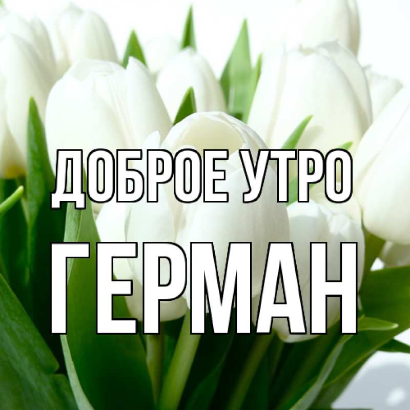 Картинка Доброе утро, Герман
