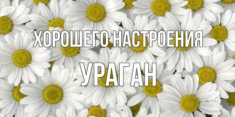 Картинка Хорошего настроения, Ураган