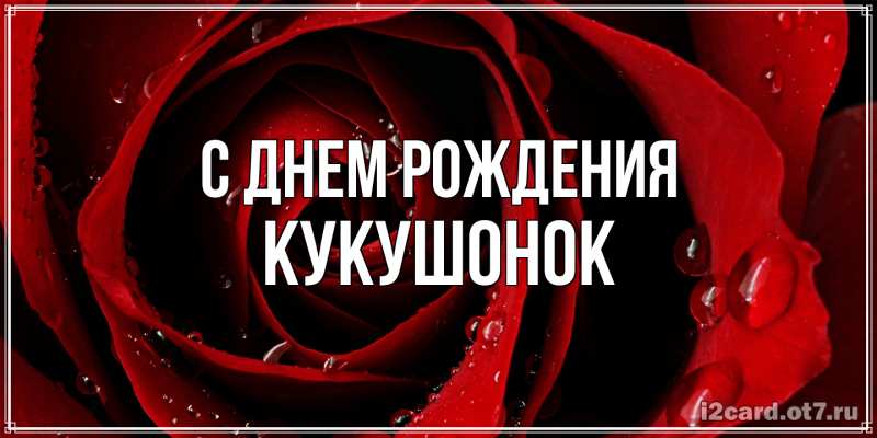 Картинка С днем рождения, кукушонок