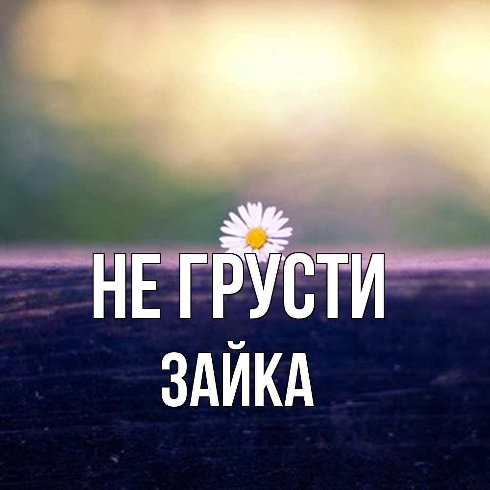Открытка на каждый день с именем, Зайка Не грусти красота Прикольная открытка с пожеланием онлайн скачать бесплатно 