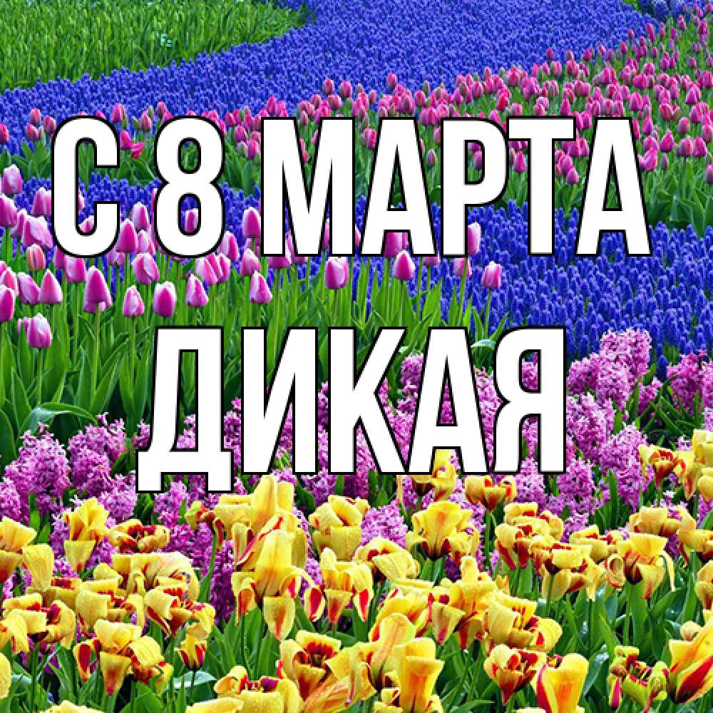 Открытка на каждый день с именем, дикая C 8 МАРТА цветы Прикольная открытка с пожеланием онлайн скачать бесплатно 