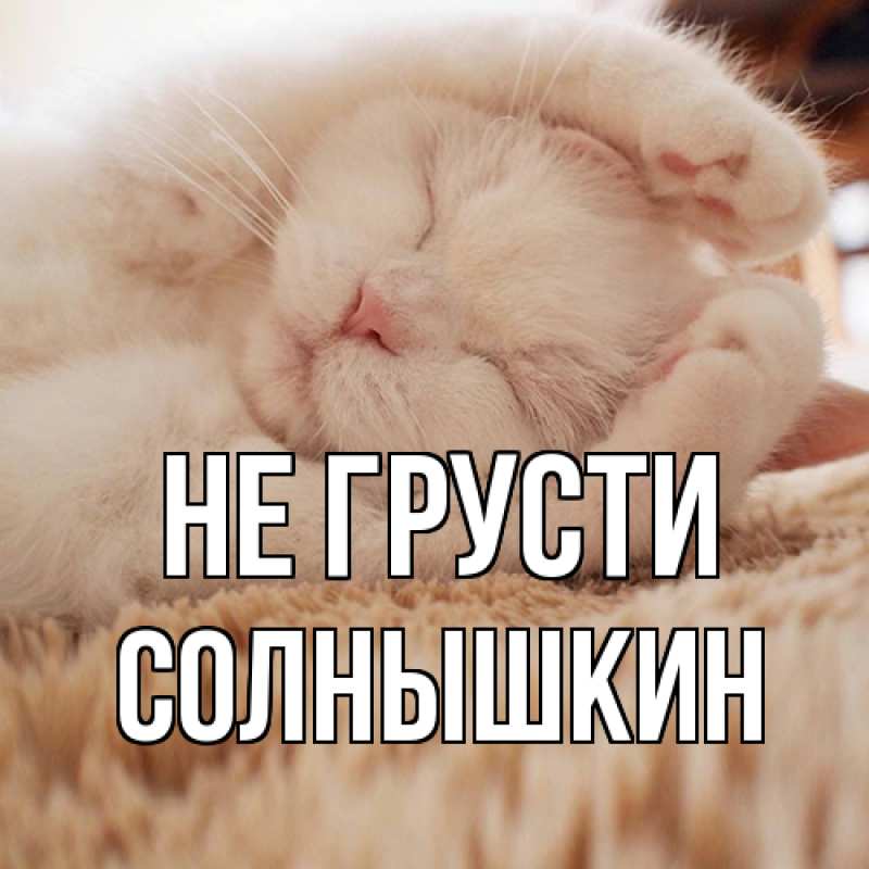 Картинка Не грусти, Солнышкин