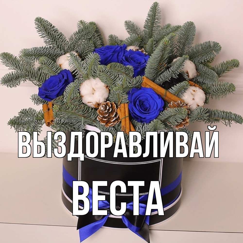 Открытка на каждый день с именем, Веста Выздоравливай короче кто то загрузил эти шишки Прикольная открытка с пожеланием онлайн скачать бесплатно 