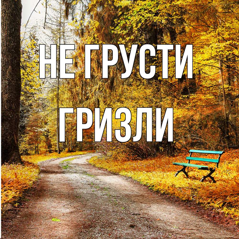 Открытка на каждый день с именем, Гризли Не грусти зеленая лавочка Прикольная открытка с пожеланием онлайн скачать бесплатно 