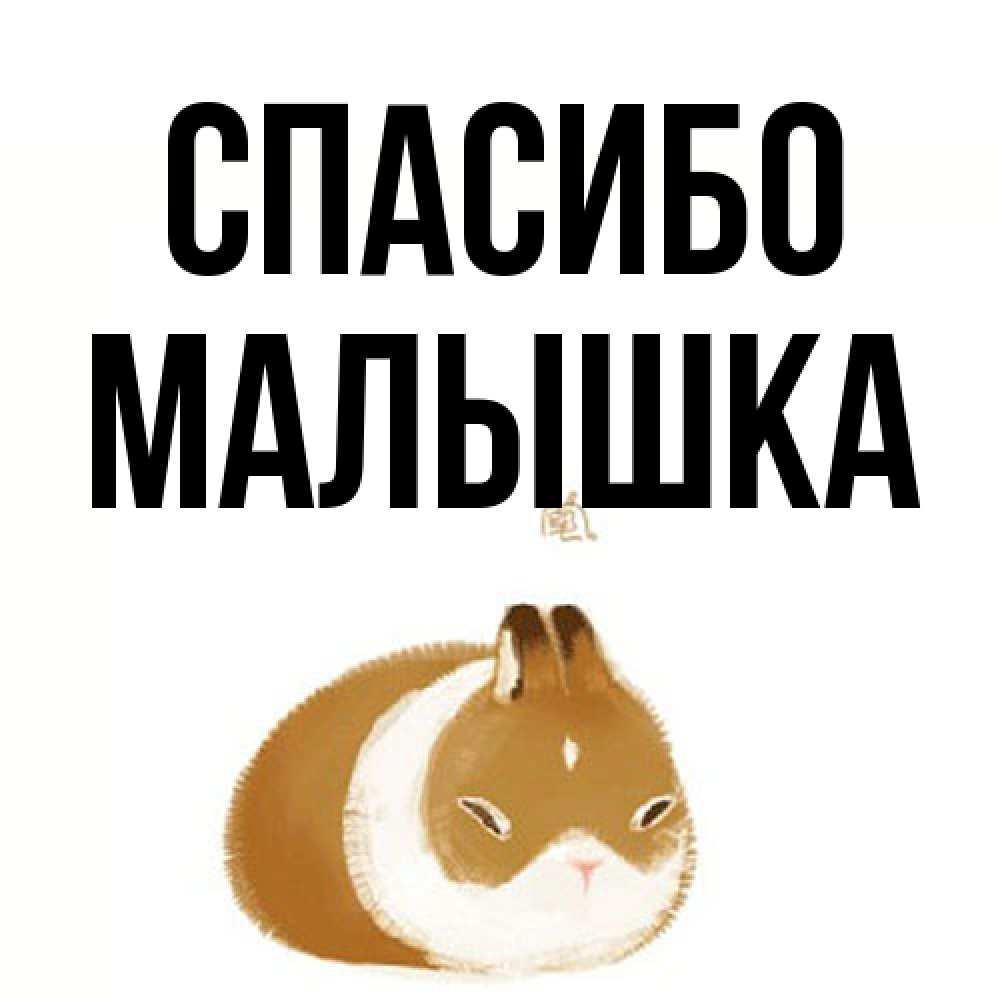 Открытка на каждый день с именем, малышка Спасибо коричнево белый домашний питомец Прикольная открытка с пожеланием онлайн скачать бесплатно 