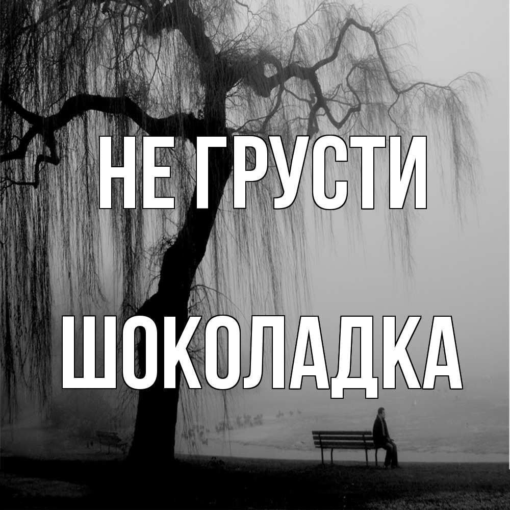 Открытка на каждый день с именем, Шоколадка Не грусти висящие ветки дерева и лавочка под деревом Прикольная открытка с пожеланием онлайн скачать бесплатно 