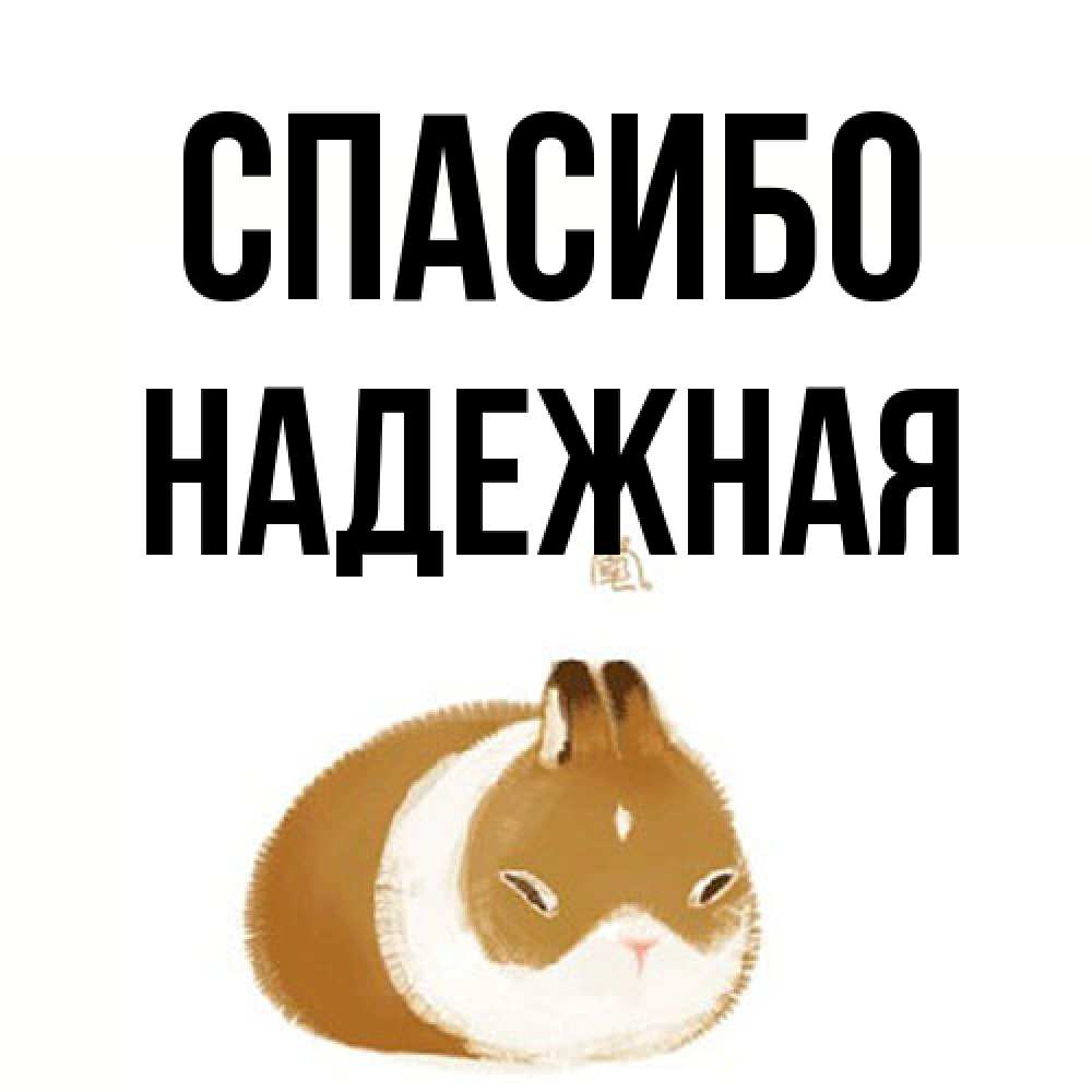 Открытка на каждый день с именем, надежная Спасибо коричнево белый домашний питомец Прикольная открытка с пожеланием онлайн скачать бесплатно 