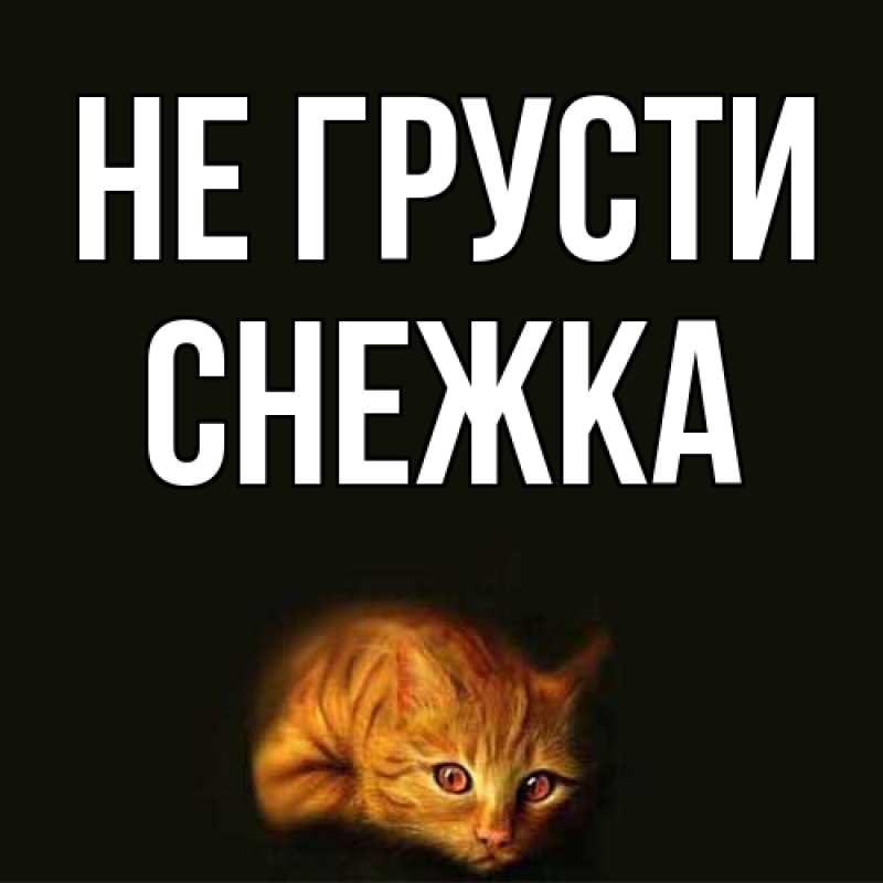 Картинка Не грусти, Снежка