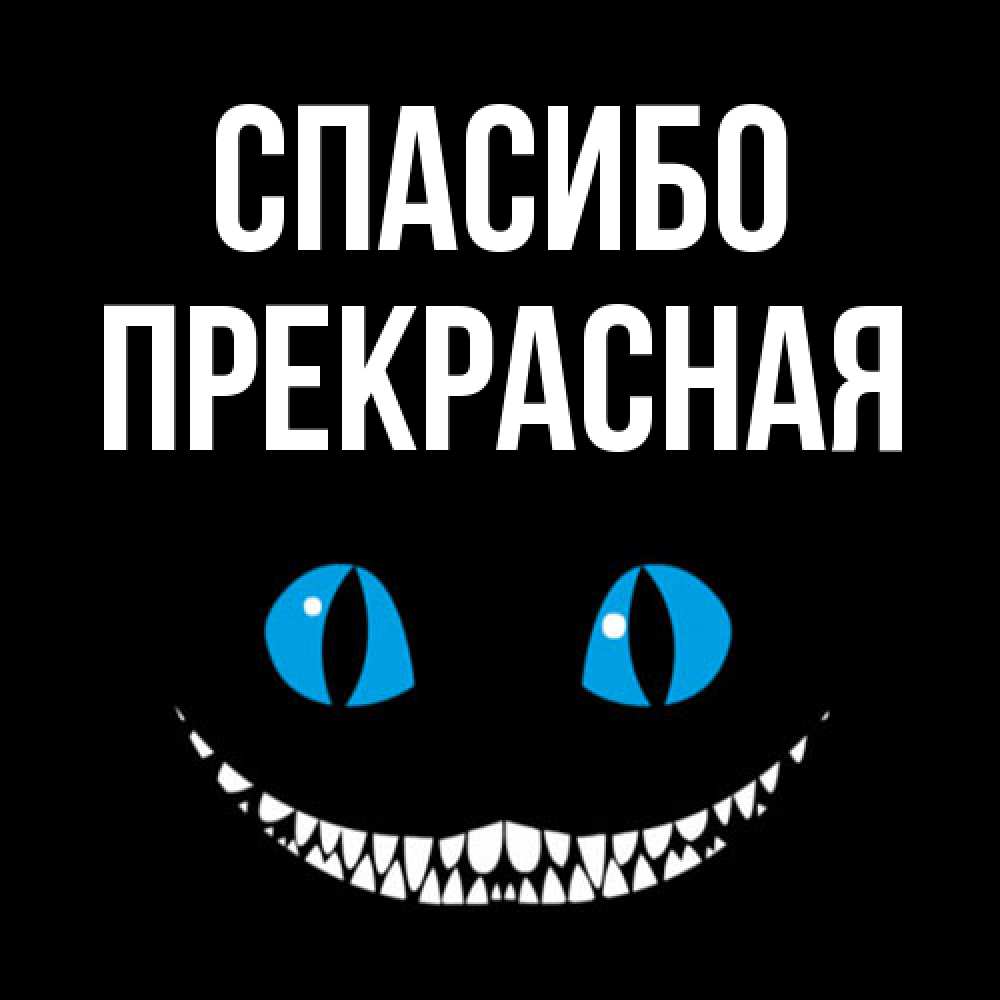 Открытка на каждый день с именем, Прекрасная Спасибо благодарю от чеширика Прикольная открытка с пожеланием онлайн скачать бесплатно 