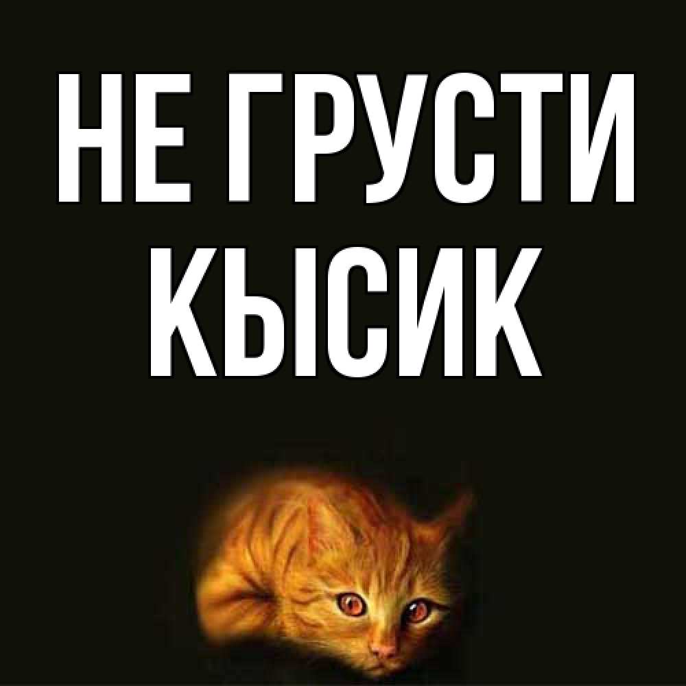 Открытка на каждый день с именем, Кысик Не грусти лежащий кот в темноте Прикольная открытка с пожеланием онлайн скачать бесплатно 