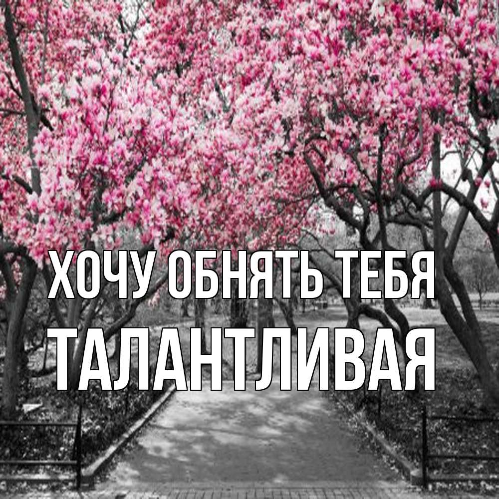 Открытка на каждый день с именем, Талантливая Хочу обнять тебя обработанное фото Прикольная открытка с пожеланием онлайн скачать бесплатно 