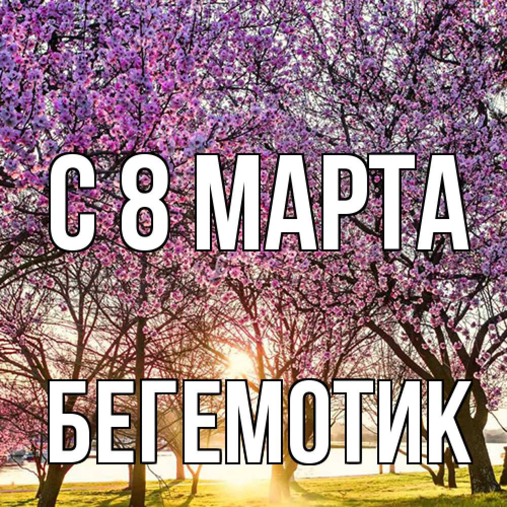 Открытка на каждый день с именем, Бегемотик C 8 МАРТА международный женский день Прикольная открытка с пожеланием онлайн скачать бесплатно 