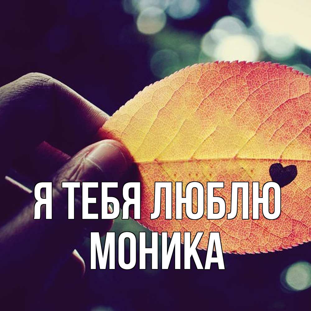 Открытка на каждый день с именем, Моника Я тебя люблю держу лист Прикольная открытка с пожеланием онлайн скачать бесплатно 