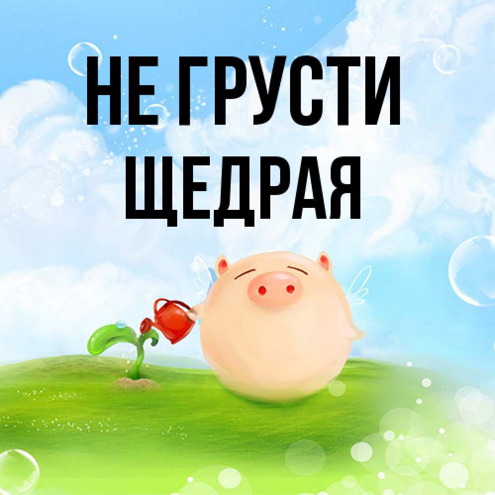 Открытка на каждый день с именем, Щедpая Не грусти поливает цветок порося Прикольная открытка с пожеланием онлайн скачать бесплатно 