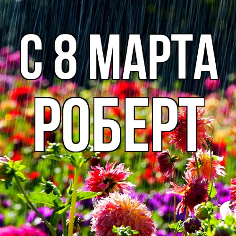 Картинка C 8 МАРТА, Роберт