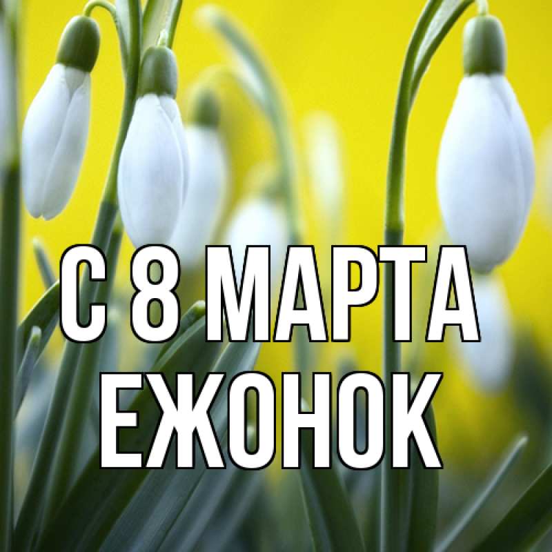 Картинка C 8 МАРТА, Ежонок