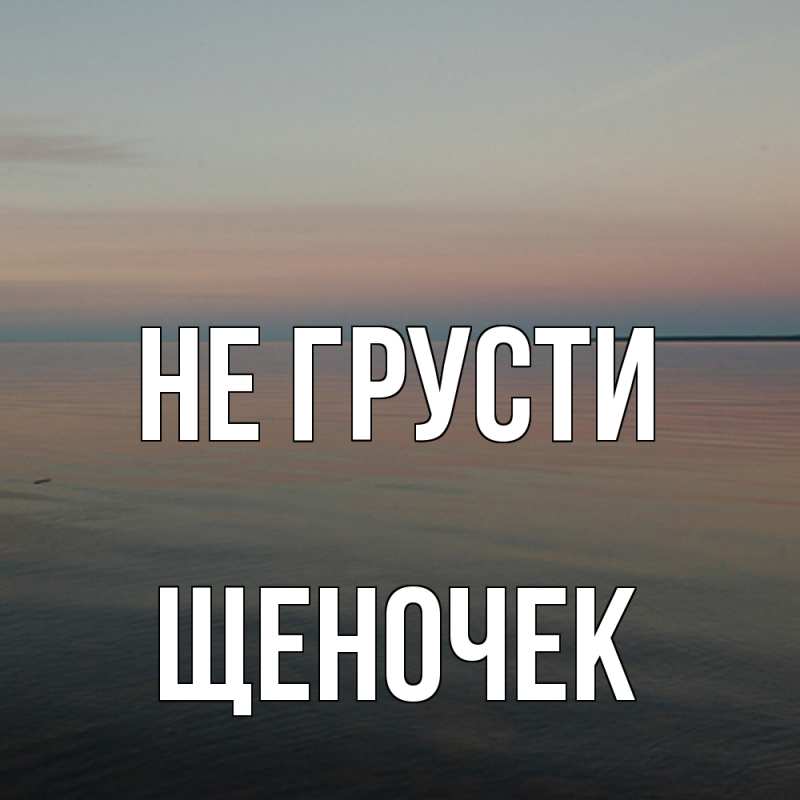 Картинка Не грусти, Щеночек