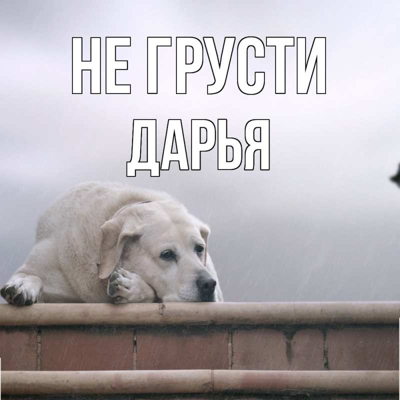 Картинка Не грусти, Дарья