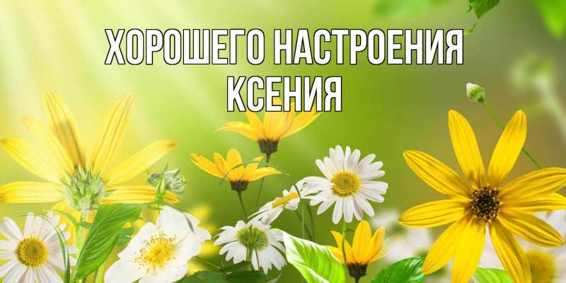 Картинка Хорошего настроения, Ксения
