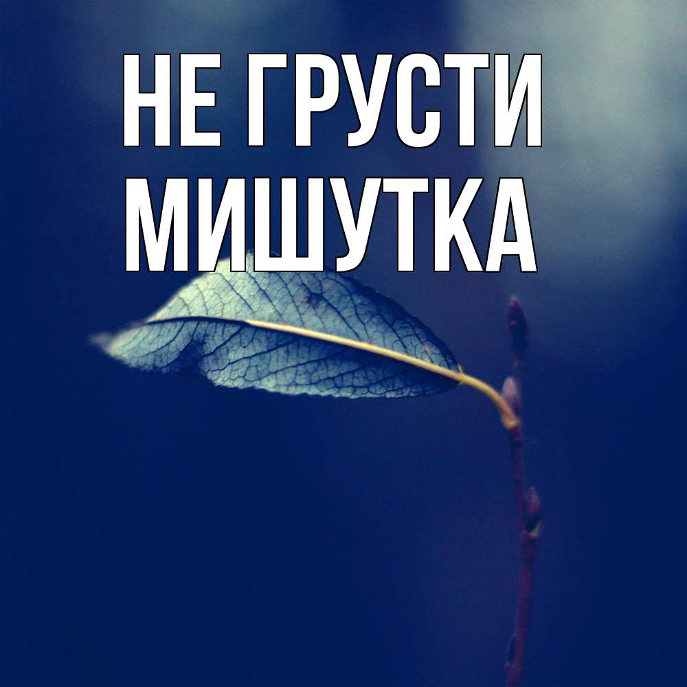 Открытка на каждый день с именем, Мишутка Не грусти растение Прикольная открытка с пожеланием онлайн скачать бесплатно 