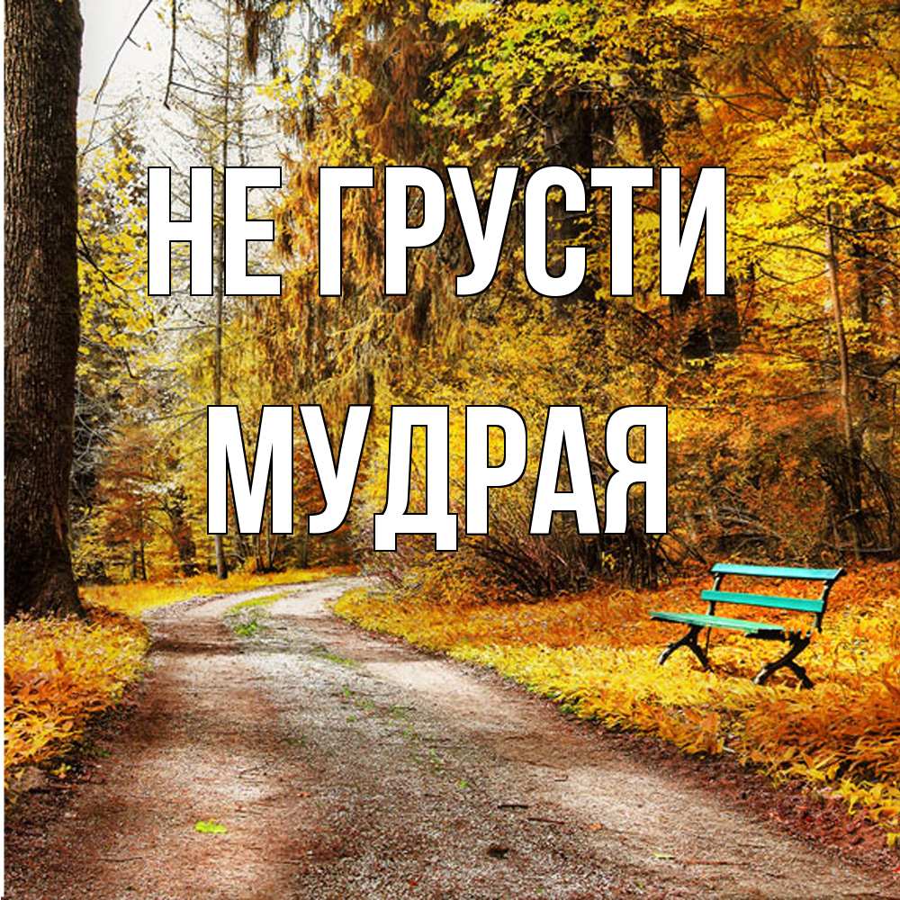 Открытка на каждый день с именем, Мудpая Не грусти зеленая лавочка Прикольная открытка с пожеланием онлайн скачать бесплатно 
