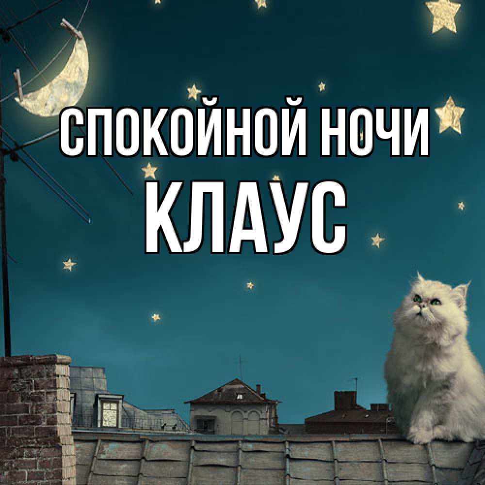 Открытка на каждый день с именем, Клаус Спокойной ночи белый кот сидит на крыше Прикольная открытка с пожеланием онлайн скачать бесплатно 