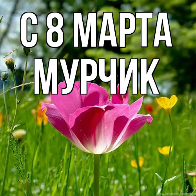 Картинка C 8 МАРТА, Мурчик