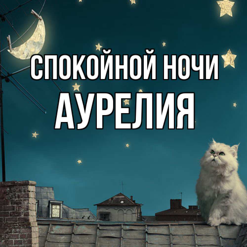 Открытка на каждый день с именем, Аурелия Спокойной ночи белый кот сидит на крыше Прикольная открытка с пожеланием онлайн скачать бесплатно 