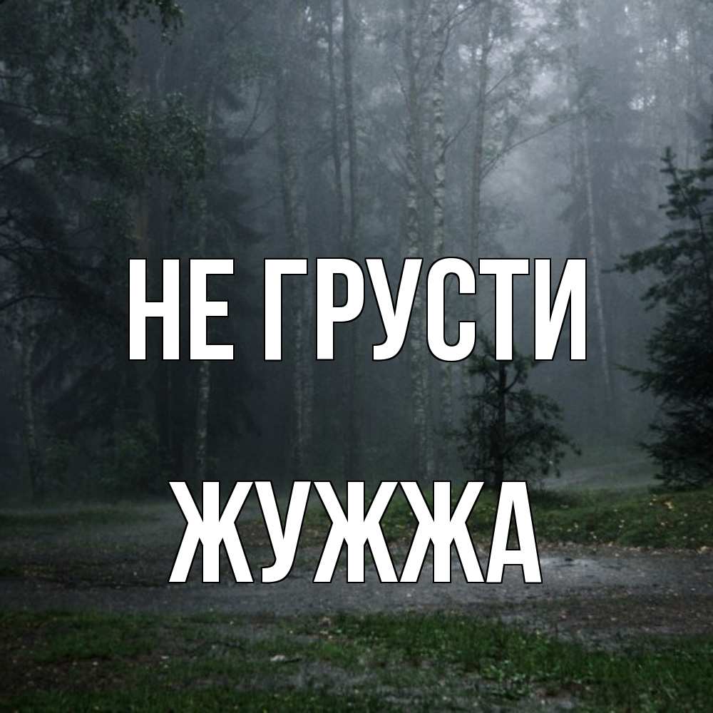 Открытка на каждый день с именем, Жужжа Не грусти осень Прикольная открытка с пожеланием онлайн скачать бесплатно 