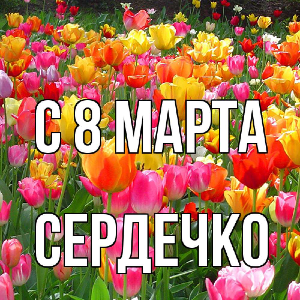 Открытка на каждый день с именем, сердечко C 8 МАРТА на международный женский день Прикольная открытка с пожеланием онлайн скачать бесплатно 