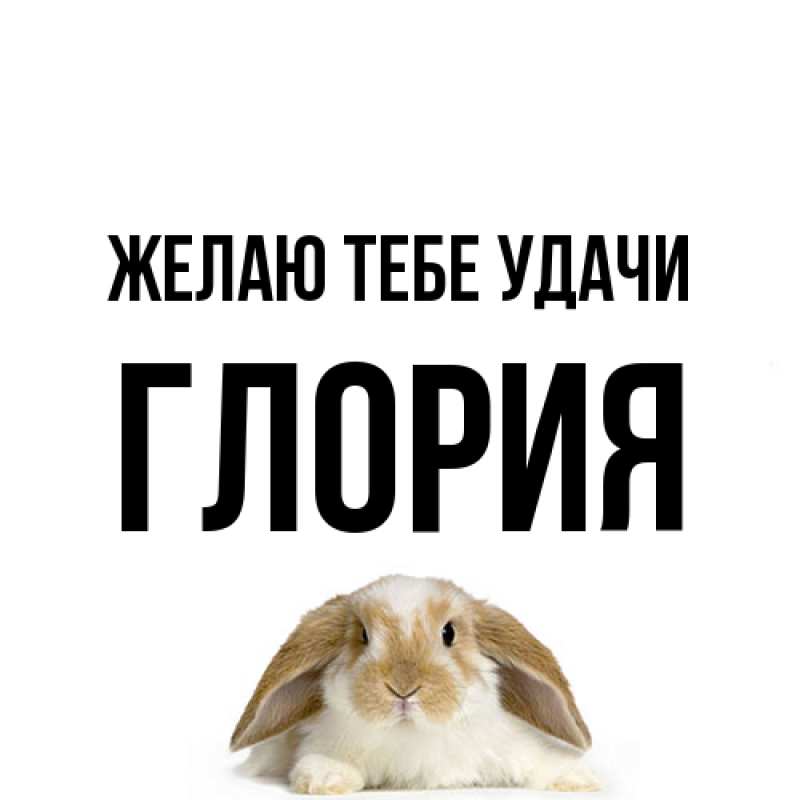 Картинка Желаю тебе удачи, Глория