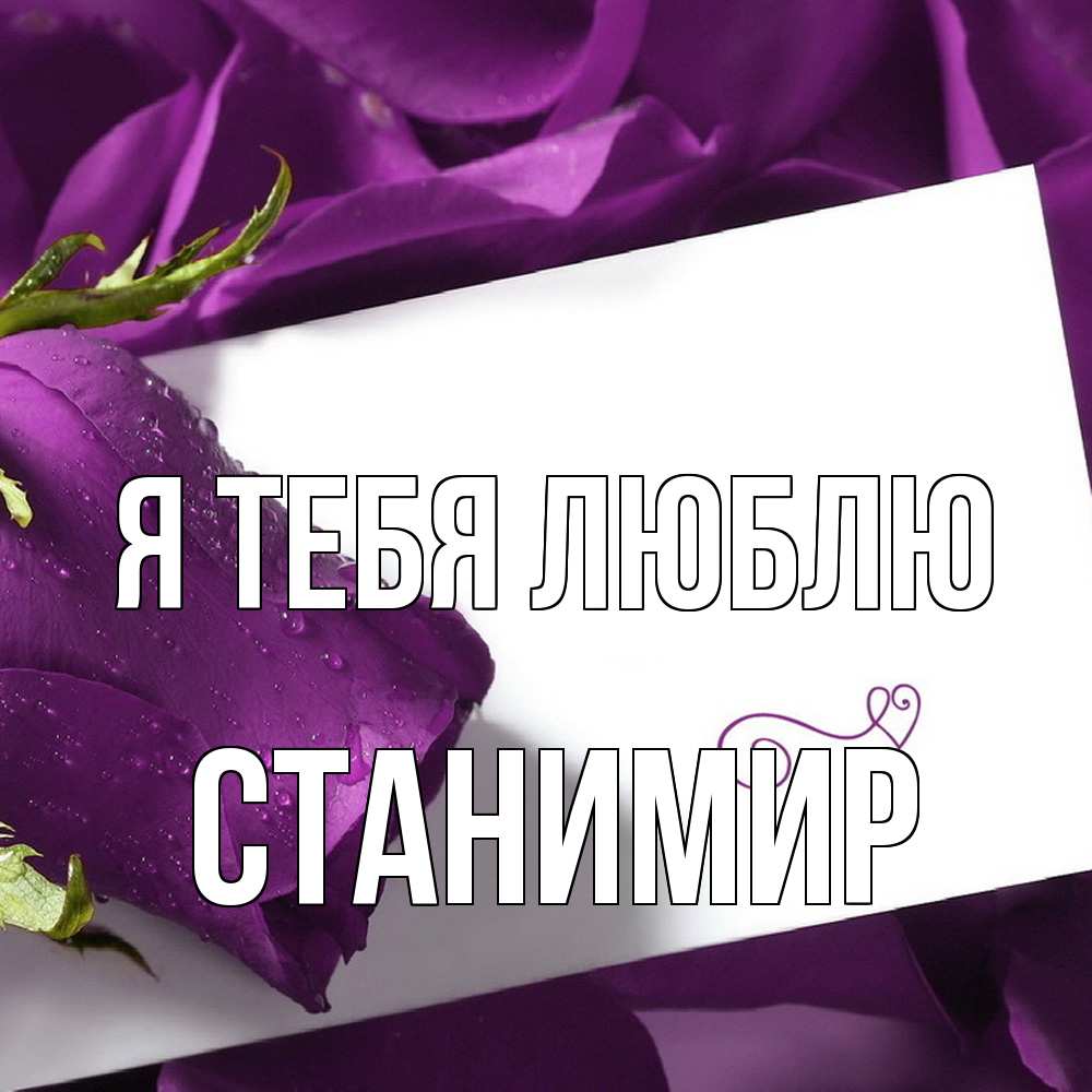 Открытка на каждый день с именем, Станимир Я тебя люблю роза Прикольная открытка с пожеланием онлайн скачать бесплатно 