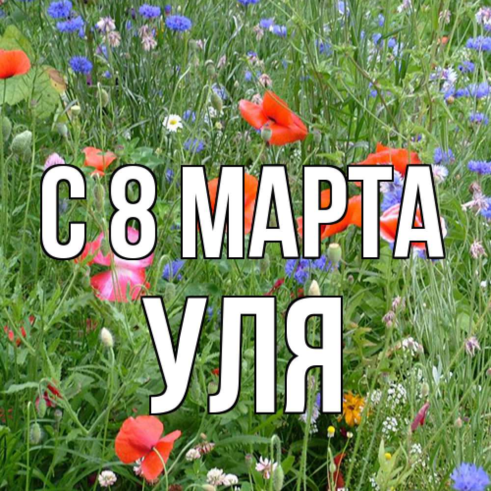 Открытка на каждый день с именем, Уля C 8 МАРТА международный женский день 4 Прикольная открытка с пожеланием онлайн скачать бесплатно 