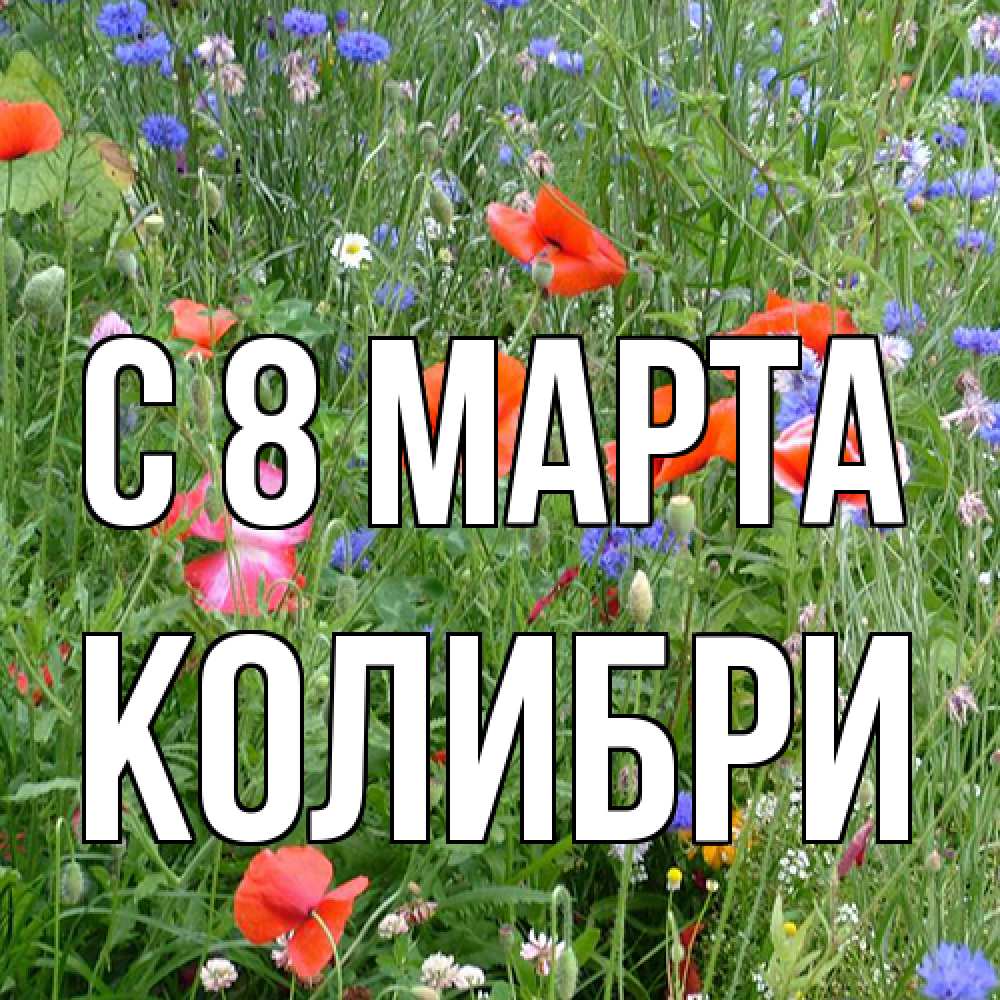 Открытка на каждый день с именем, Колибри C 8 МАРТА международный женский день 4 Прикольная открытка с пожеланием онлайн скачать бесплатно 