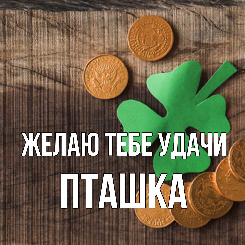 Открытка на каждый день с именем, пташка Желаю тебе удачи на удачу сегодня Прикольная открытка с пожеланием онлайн скачать бесплатно 